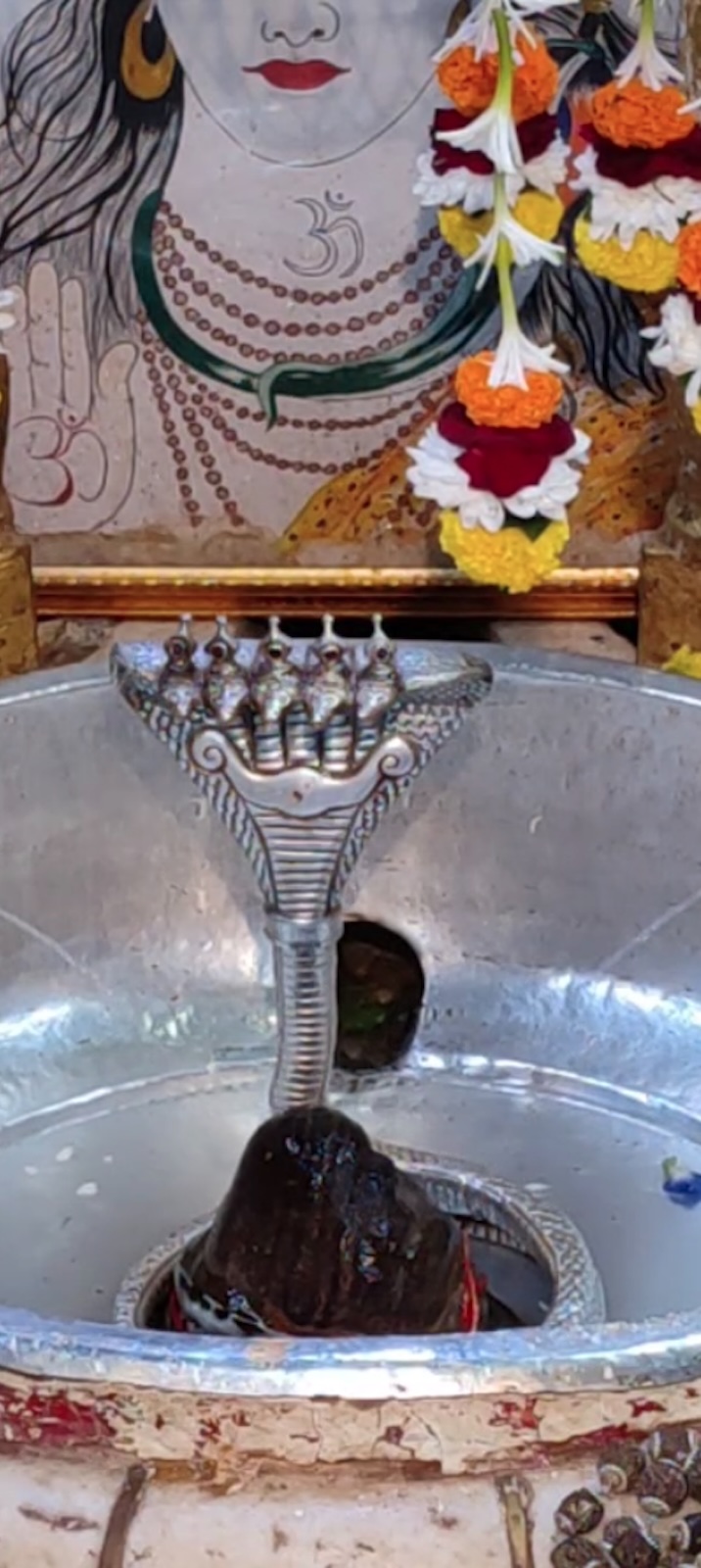 Rudrabhishek to Shree Kubereshwar Mahadev