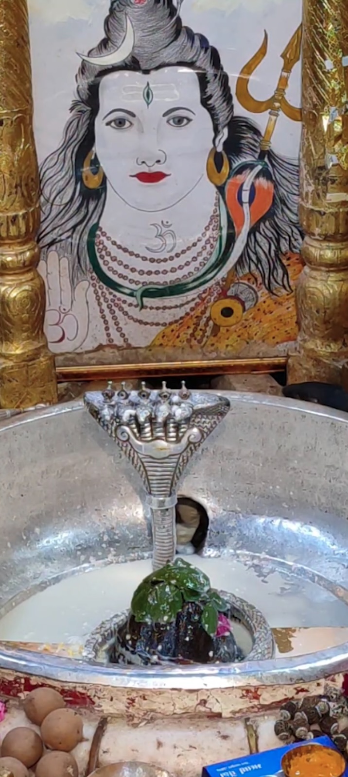 Rudrabhishek to Shree Kubereshwar Mahadev