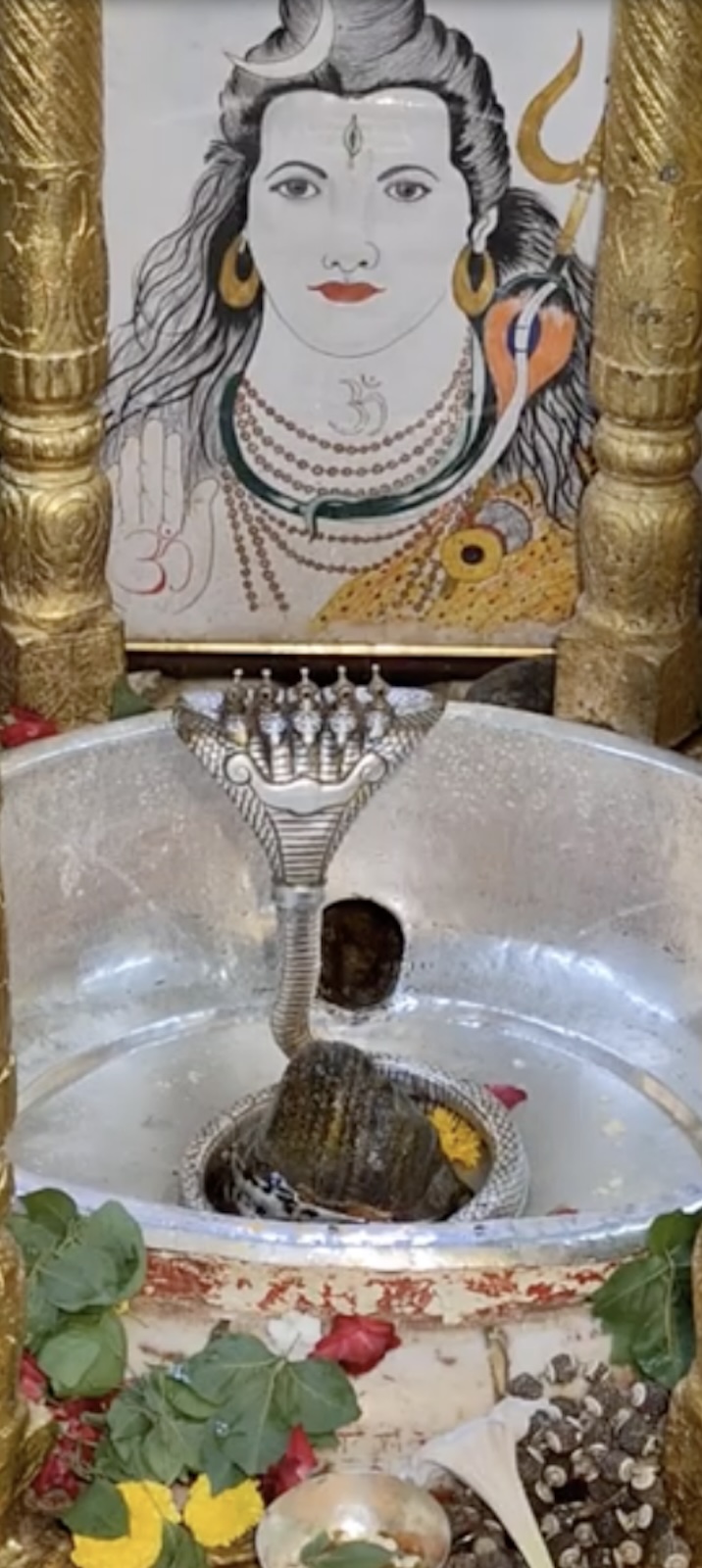 Rudrabhishek to Shree Kubereshwar Mahadev