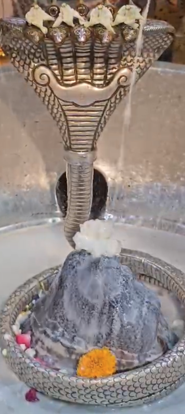 Rudrabhishek to Shree Kubereshwar Mahadev