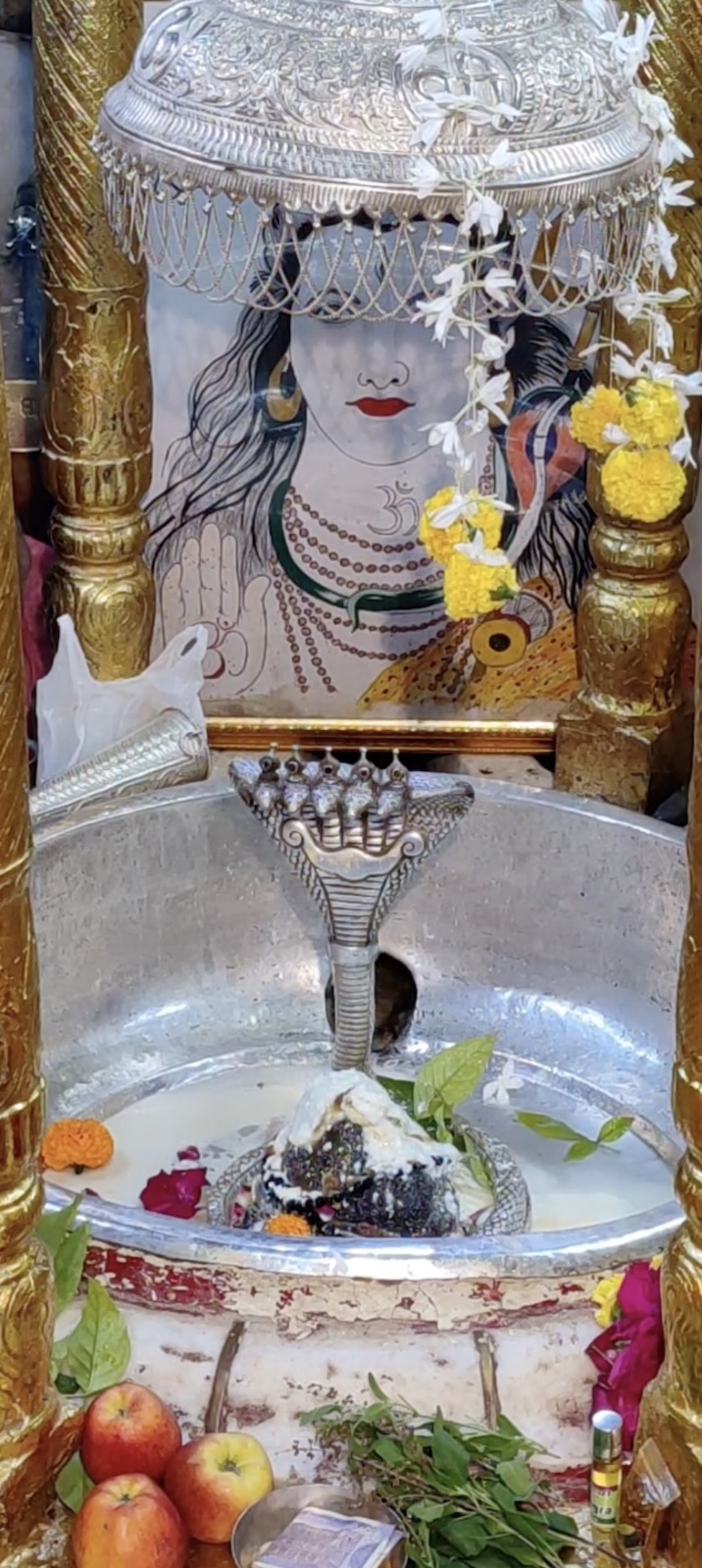 Rudrabhishek to Shree Kubereshwar Mahadev