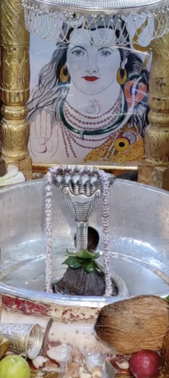 Rudrabhishek to Shree Kubereshwar Mahadev