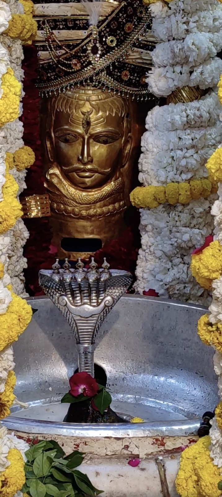 Rudrabhishek to Shree Kubereshwar Mahadev