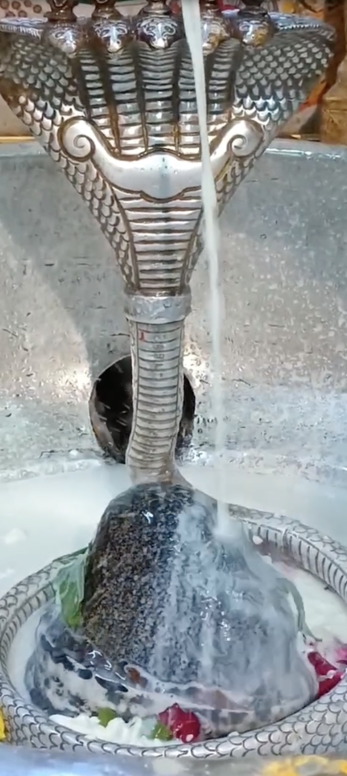 Rudrabhishek to Shree Kubereshwar Mahadev