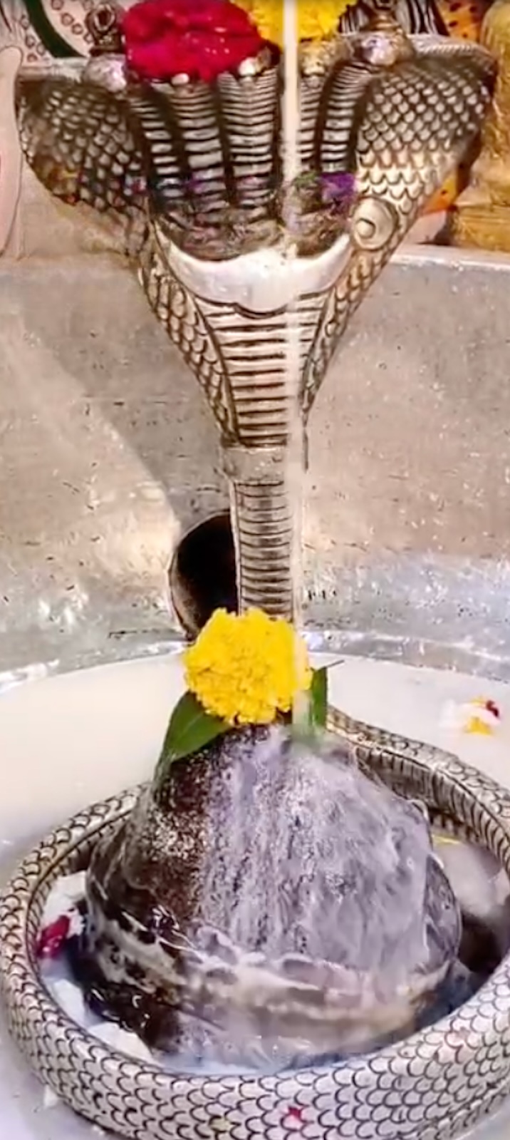 Rudrabhishek to Shree Kubereshwar Mahadev