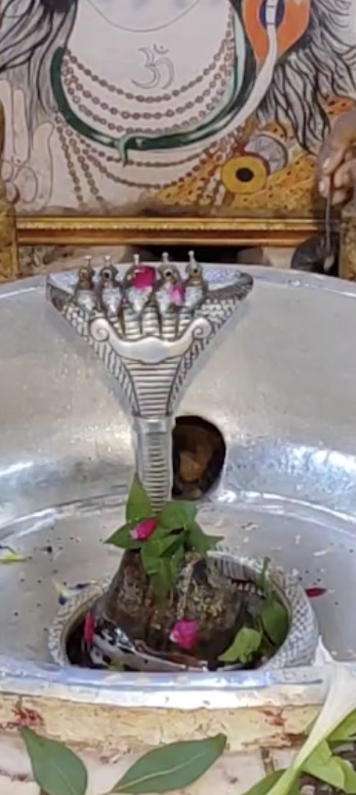 Rudrabhishek to Shree Kubereshwar Mahadev