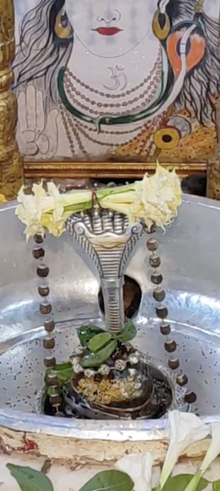 Rudrabhishek to Shree Kubereshwar Mahadev