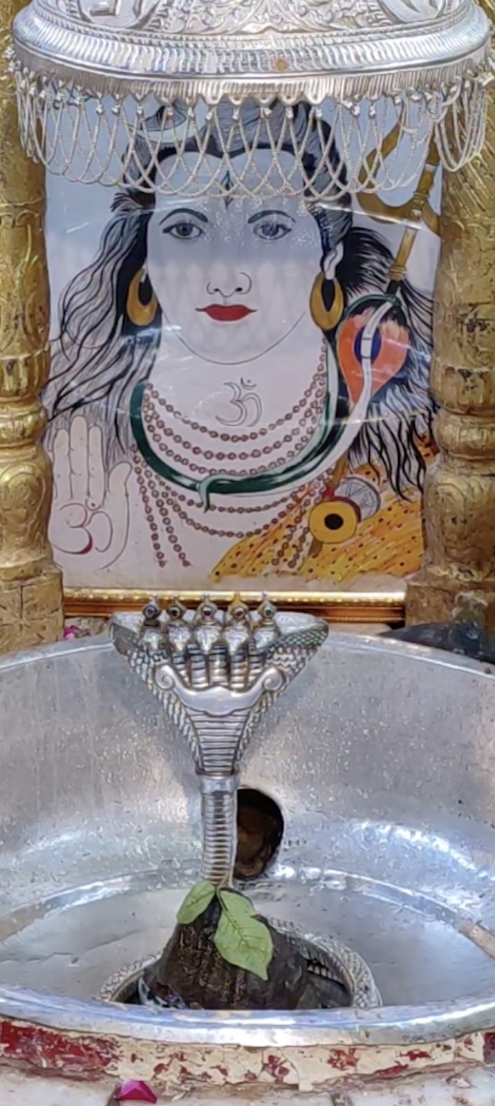 Rudrabhishek to Shree Kubereshwar Mahadev