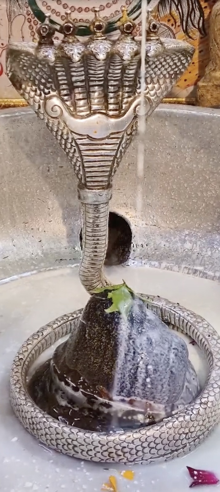 Rudrabhishek to Shree Kubereshwar Mahadev