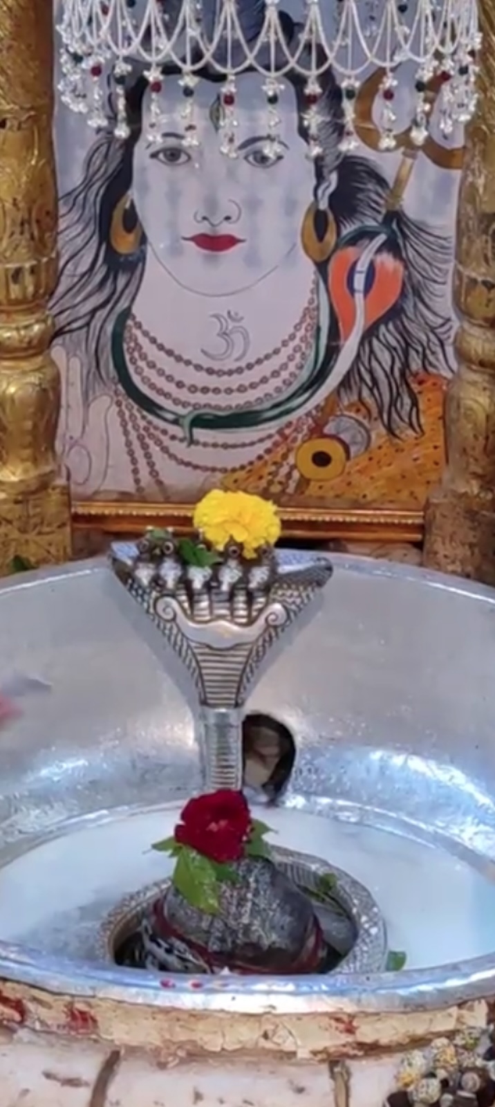 Rudrabhishek to Shree Kubereshwar Mahadev