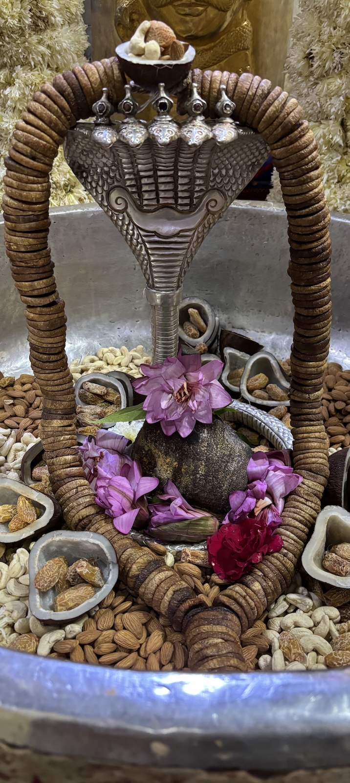 Rudrabhishek to Shree Kubereshwar Mahadev