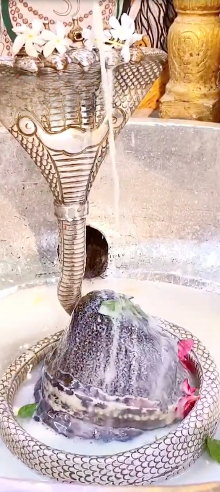 Rudrabhishek to Shree Kubereshwar Mahadev