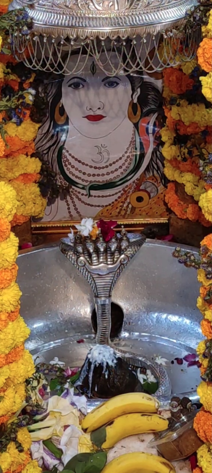 Rudrabhishek to Shree Kubereshwar Mahadev