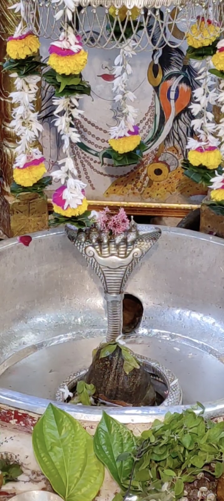 Rudrabhishek to Shree Kubereshwar Mahadev