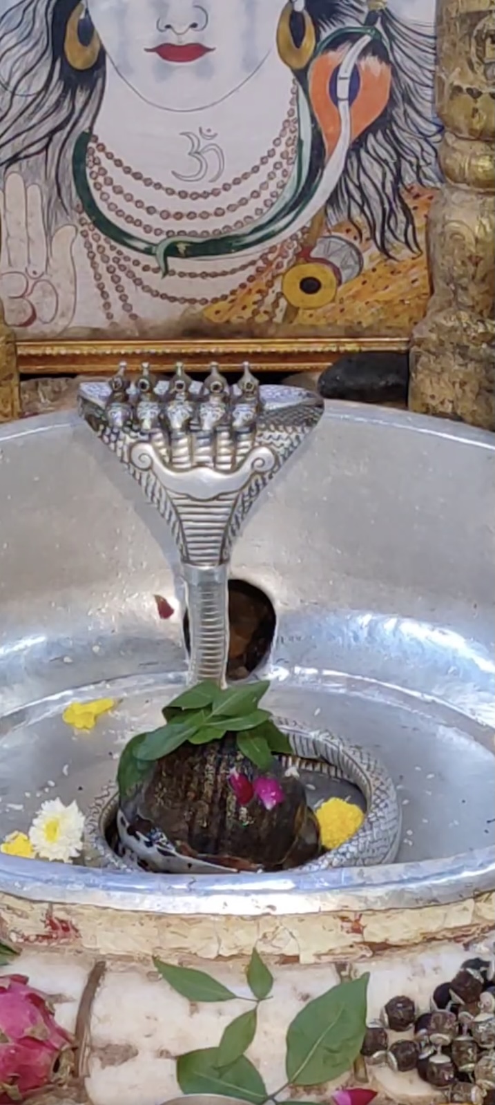 Rudrabhishek to Shree Kubereshwar Mahadev