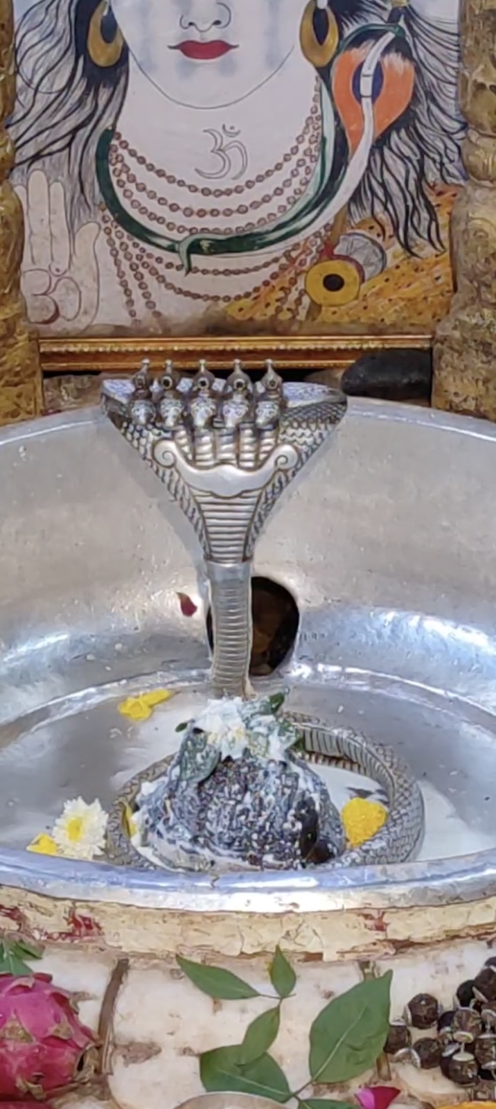 Rudrabhishek to Shree Kubereshwar Mahadev