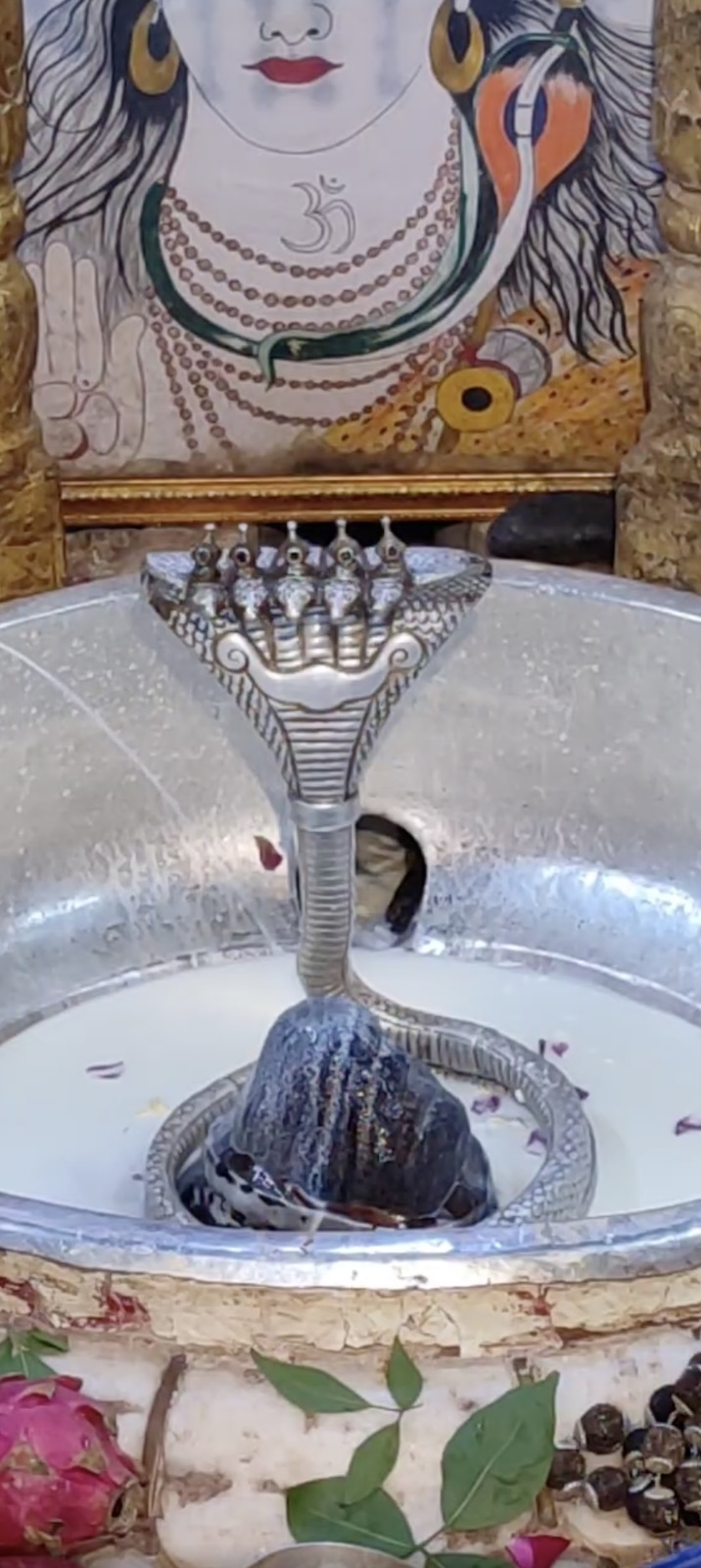 Rudrabhishek to Shree Kubereshwar Mahadev