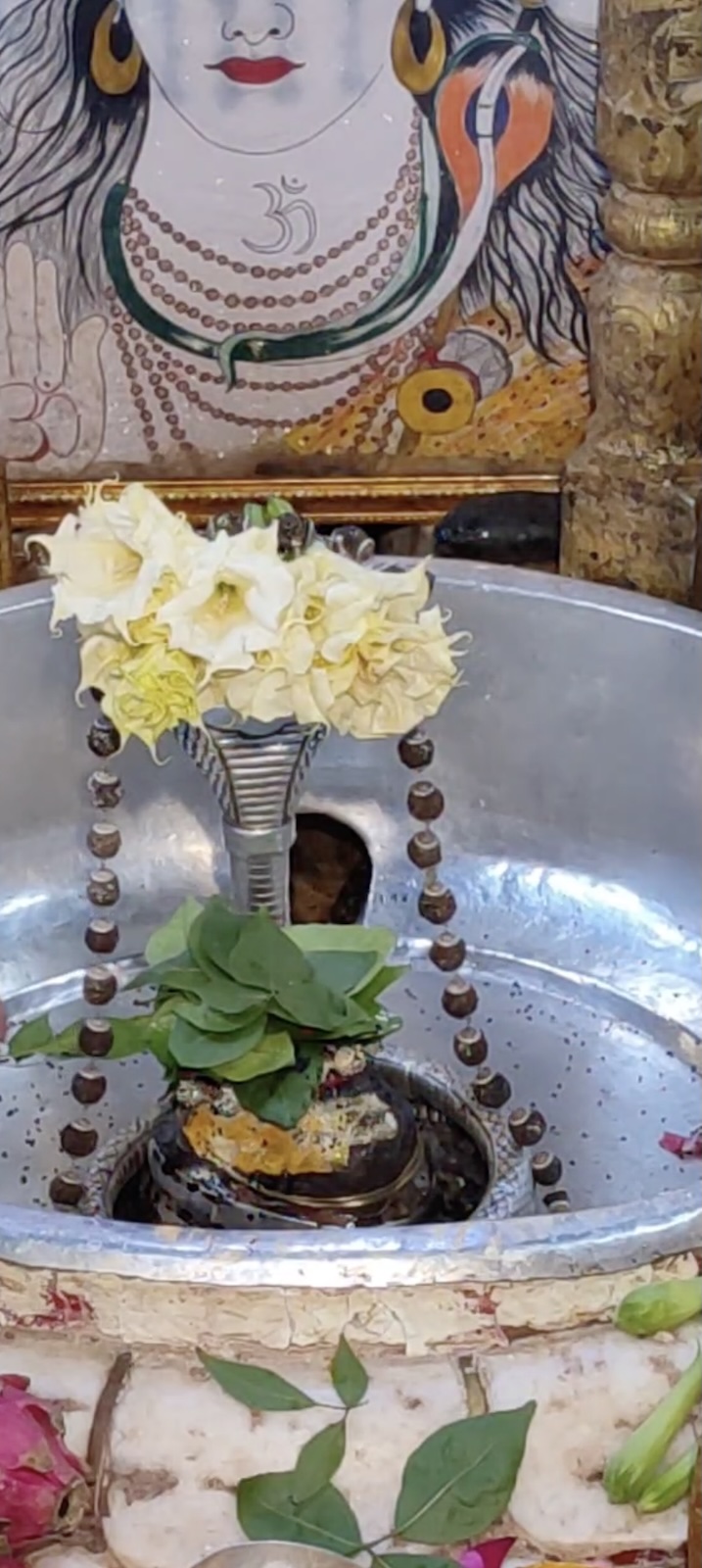 Rudrabhishek to Shree Kubereshwar Mahadev