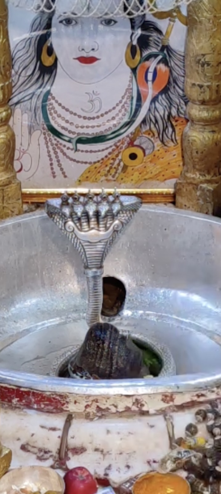 Rudrabhishek to Shree Kubereshwar Mahadev