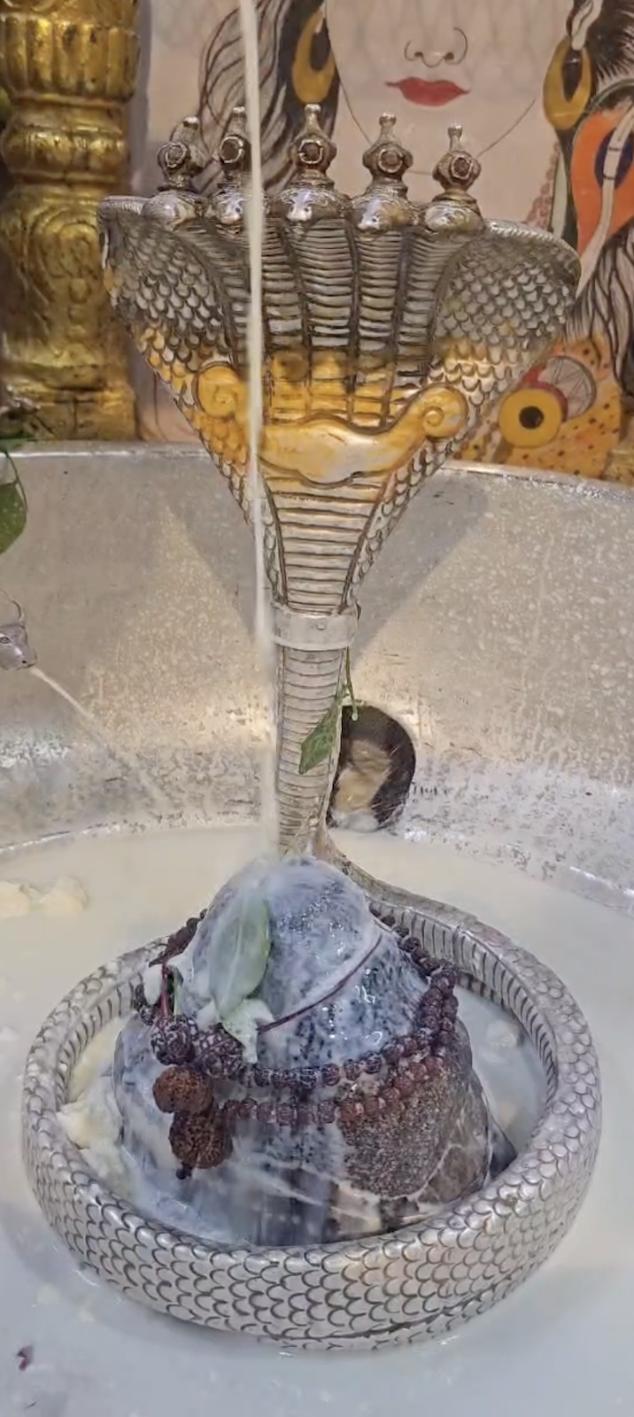 Rudrabhishek to Shree Kubereshwar Mahadev