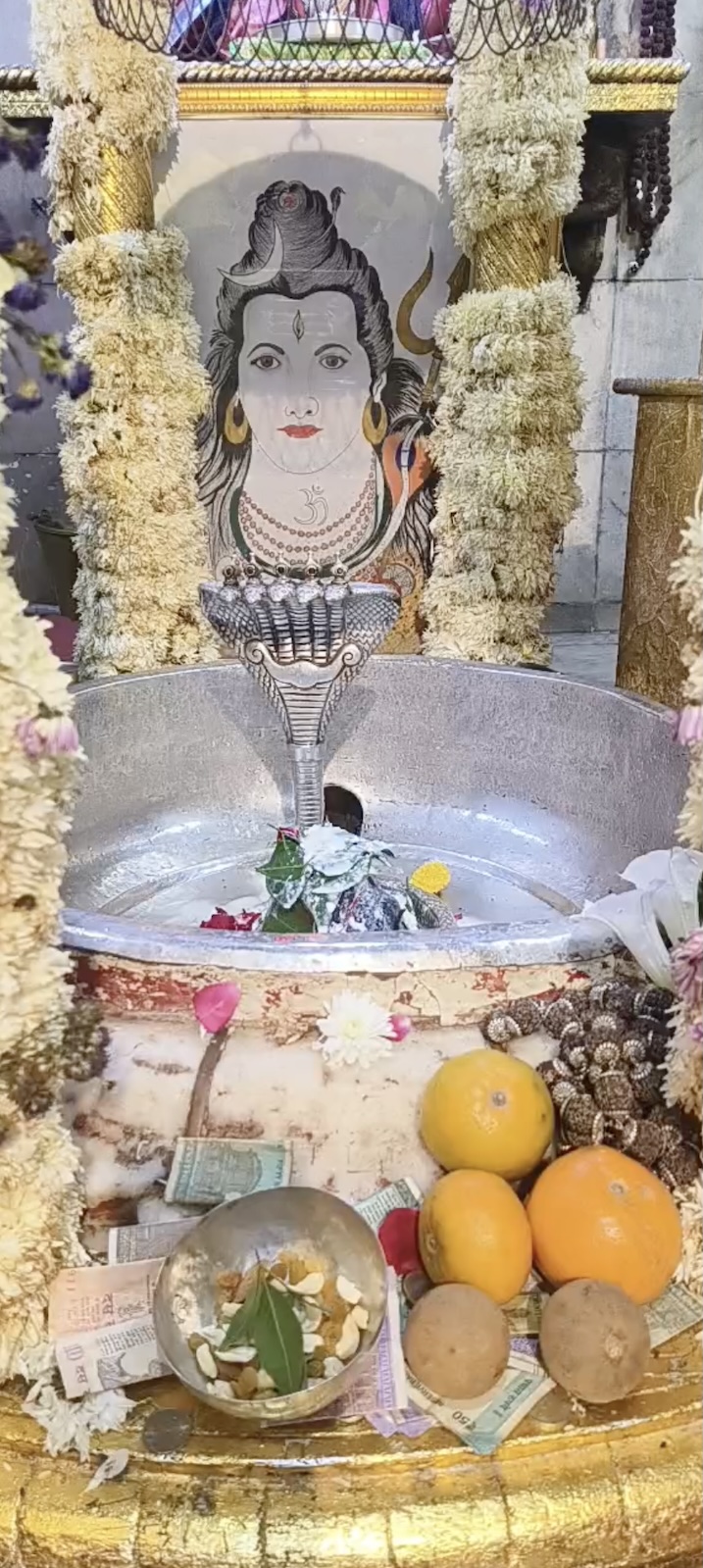 Rudrabhishek to Shree Kubereshwar Mahadev