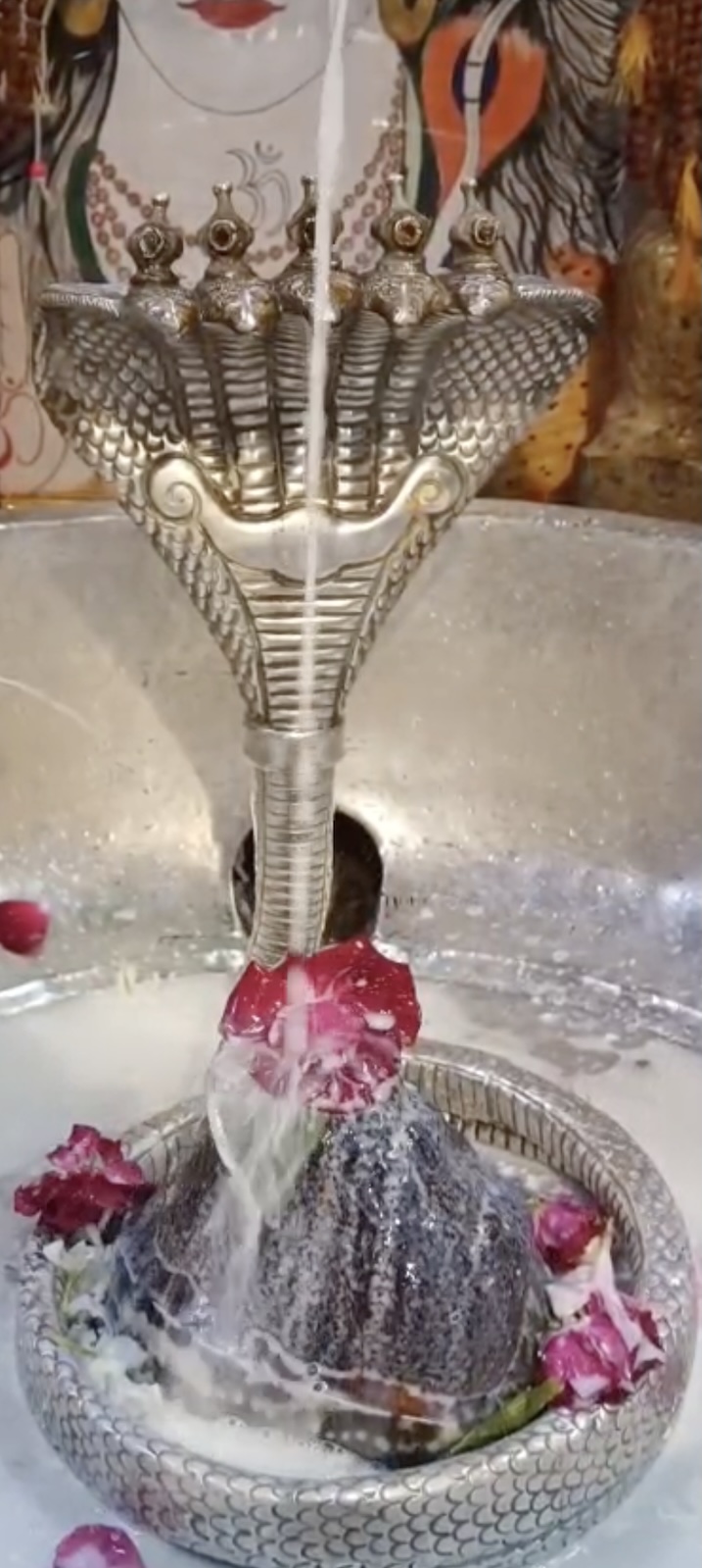 Rudrabhishek to Shree Kubereshwar Mahadev