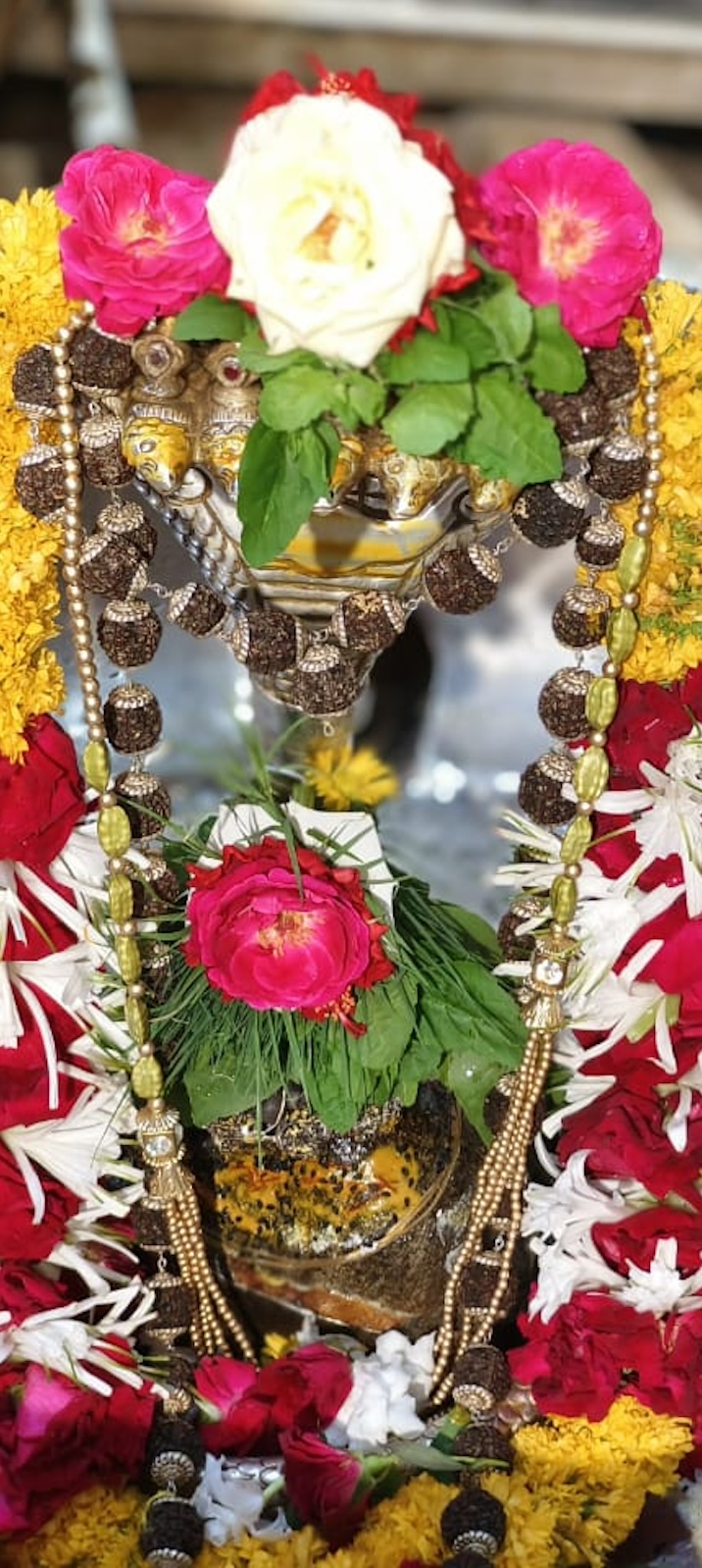 Shangar Darshan Shree Kubereshwar Mahadev