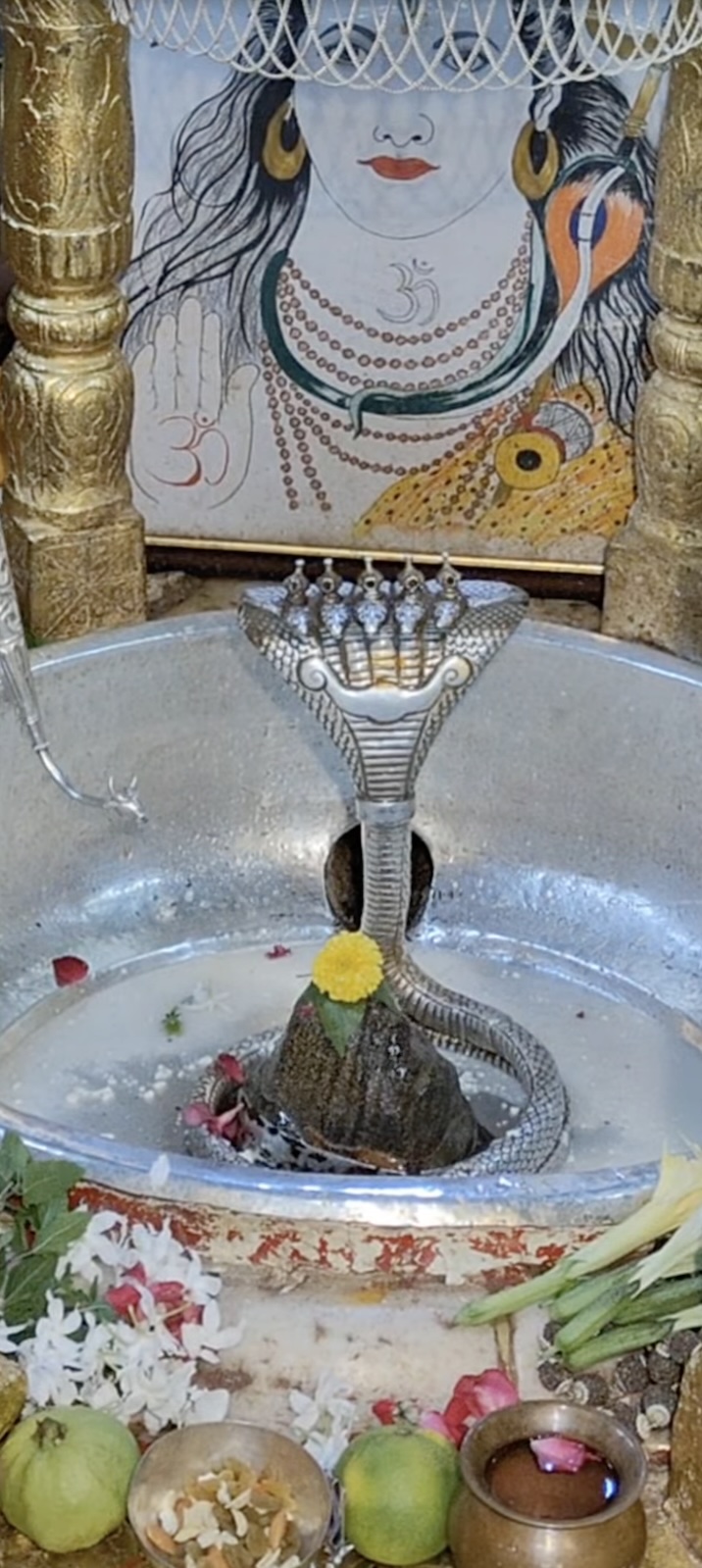 Rudrabhishek to Shree Kubereshwar Mahadev