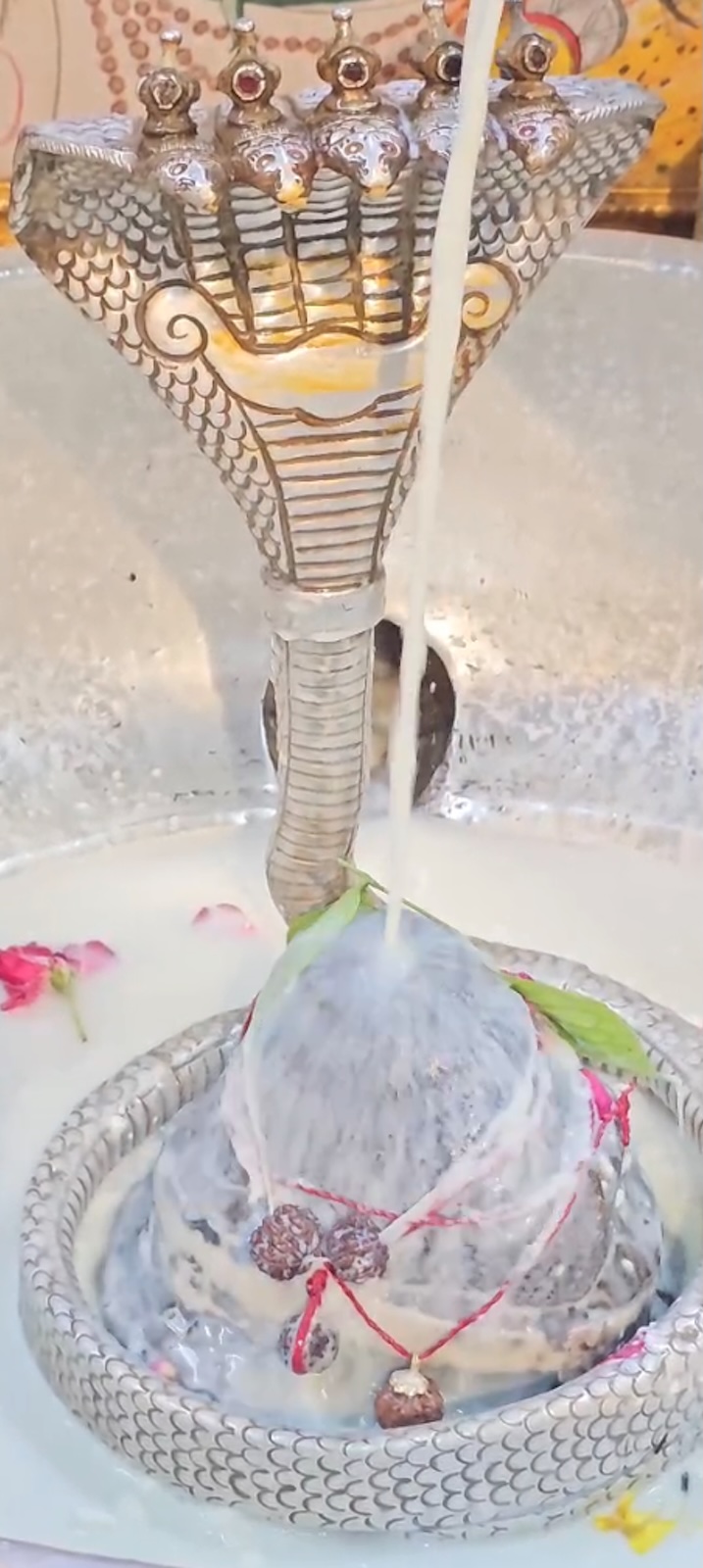 Rudrabhishek to Shree Kubereshwar Mahadev