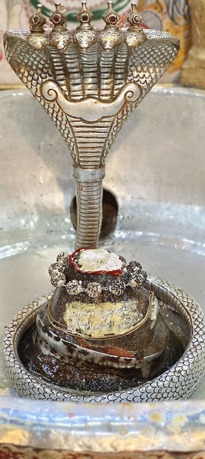 Rudrabhishek to Shree Kubereshwar Mahadev