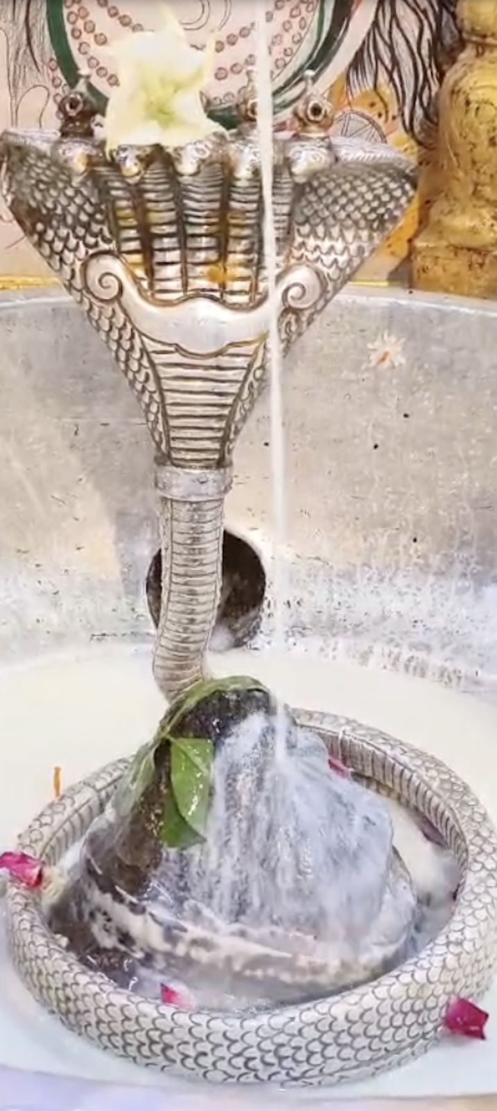 Rudrabhishek to Shree Kubereshwar Mahadev