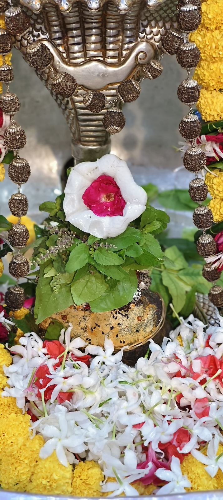 Rudrabhishek to Shree Kubereshwar Mahadev