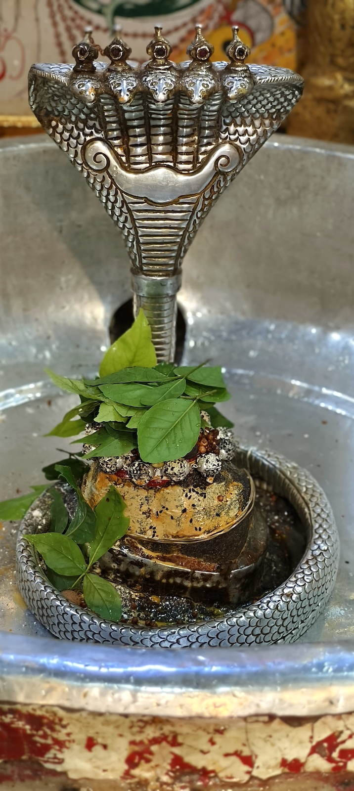 Rudrabhishek to Shree Kubereshwar Mahadev