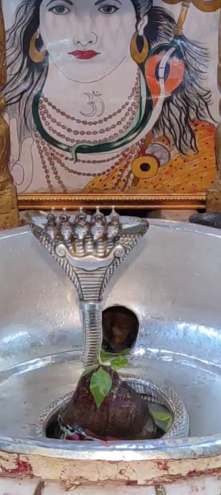 Rudrabhishek to Shree Kubereshwar Mahadev