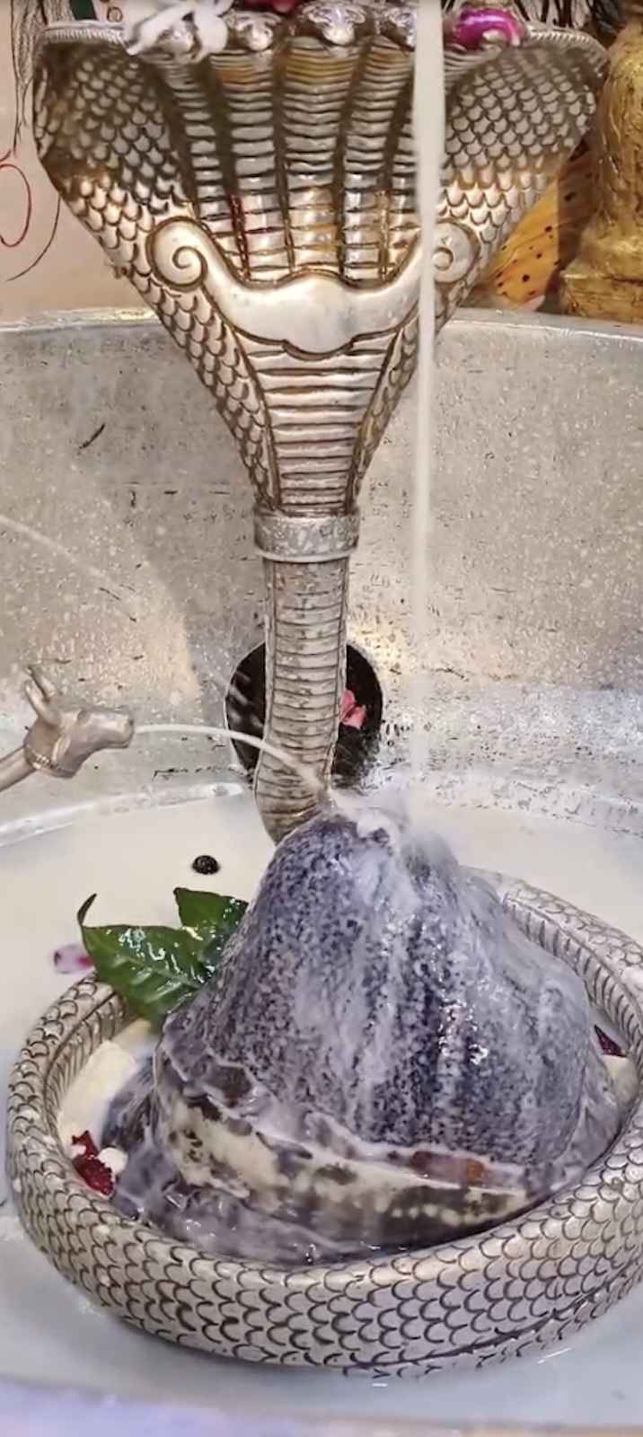 Rudrabhishek to Shree Kubereshwar Mahadev