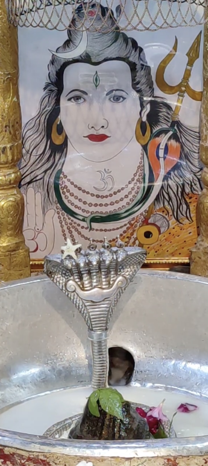 Rudrabhishek to Shree Kubereshwar Mahadev