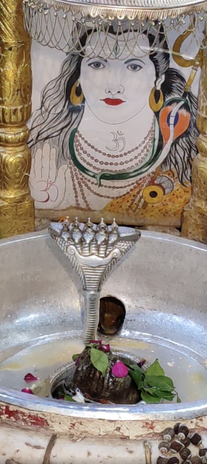 Rudrabhishek to Shree Kubereshwar Mahadev