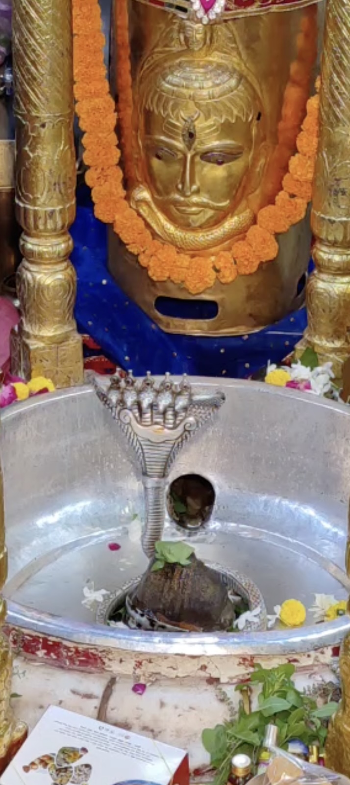 Rudrabhishek to Shree Kubereshwar Mahadev