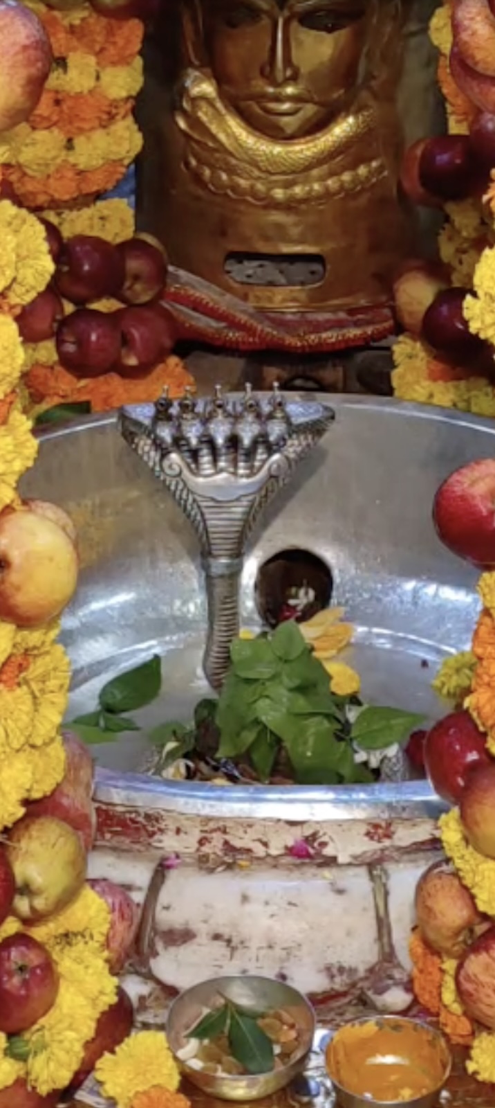 Rudrabhishek to Shree Kubereshwar Mahadev