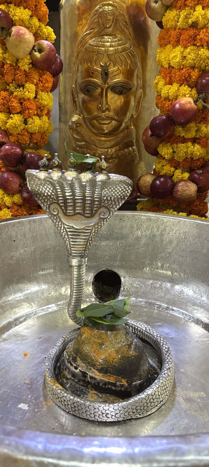 Rudrabhishek to Shree Kubereshwar Mahadev