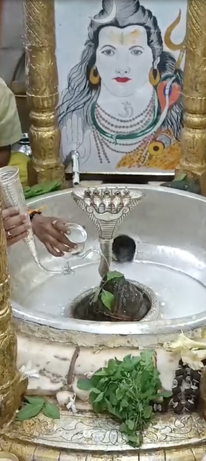 Rudrabhishek to Shree Kubereshwar Mahadev