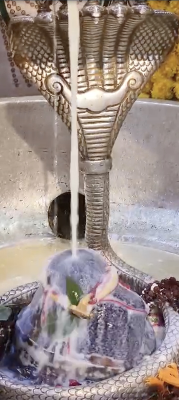 Rudrabhishek to Shree Kubereshwar Mahadev