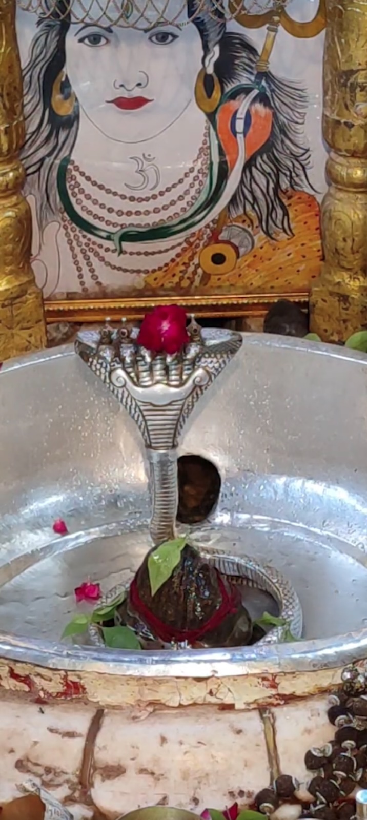 Rudrabhishek to Shree Kubereshwar Mahadev