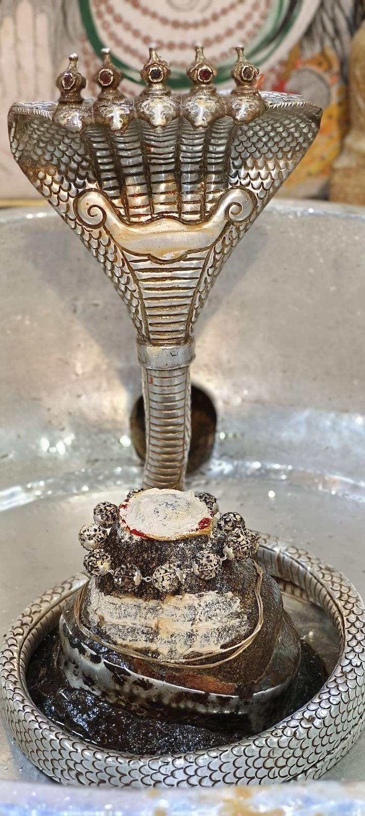 Rudrabhishek to Shree Kubereshwar Mahadev