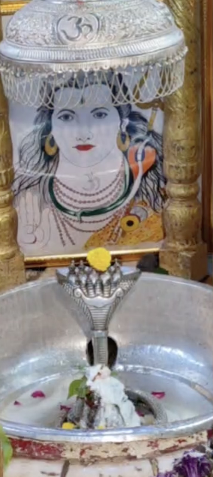 Rudrabhishek to Shree Kubereshwar Mahadev