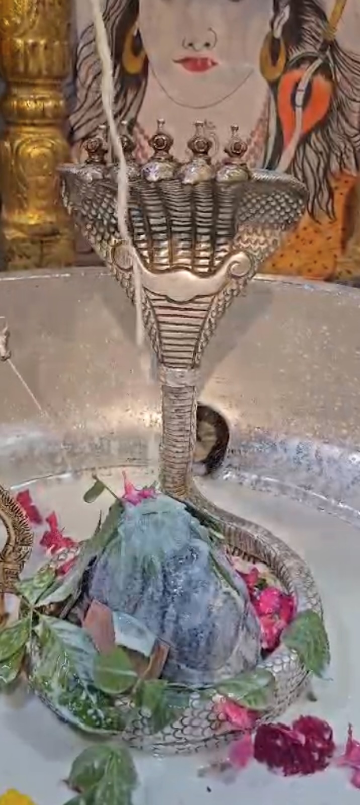 Rudrabhishek to Shree Kubereshwar Mahadev