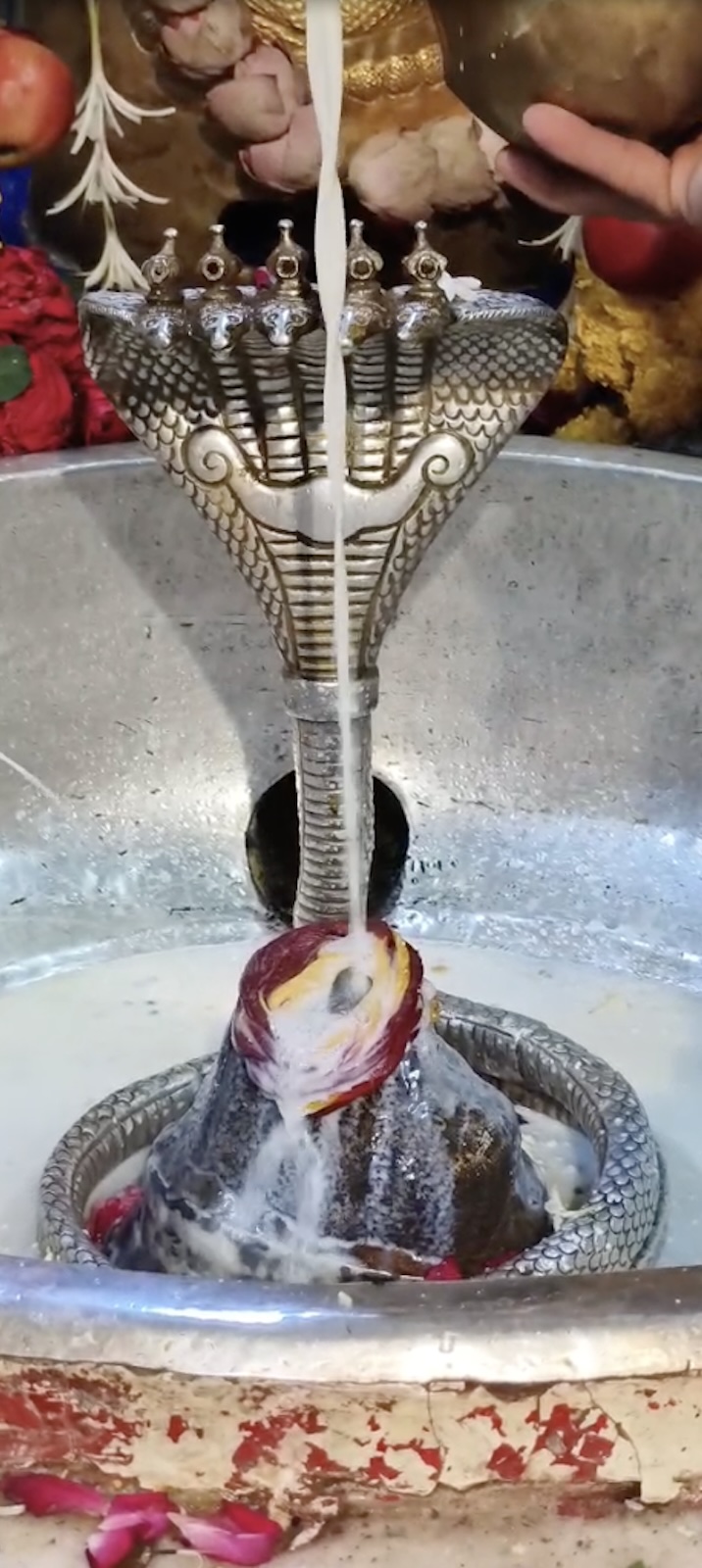 Rudrabhishek to Shree Kubereshwar Mahadev