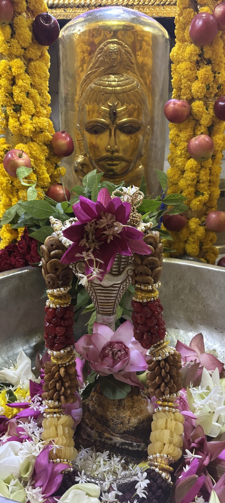 Rudrabhishek to Shree Kubereshwar Mahadev