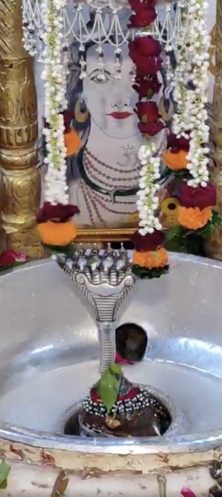 Rudrabhishek to Shree Kubereshwar Mahadev