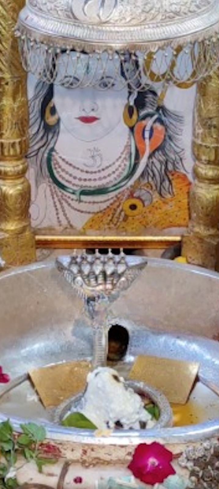 Rudrabhishek to Shree Kubereshwar Mahadev